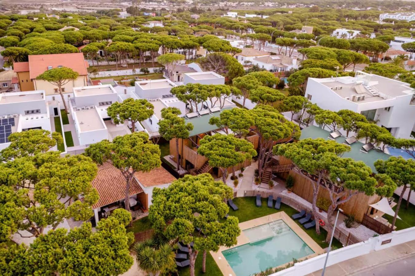 Nuevos Apartamentos Biopasivos Living Pura Madera Chiclana de la Frontera Exterior foto